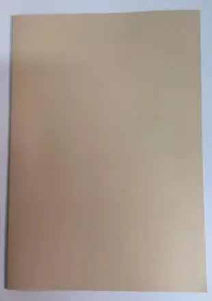 Carpetas avellana (500 uds.)
